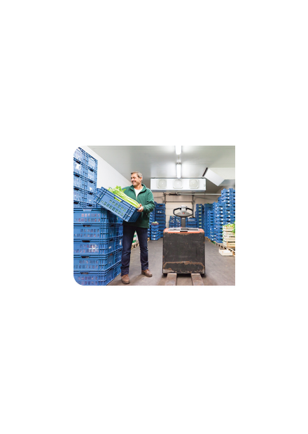 Công nghệ trữ đông tiết kiệm điện cho doanh nghiệp vừa và nhỏ